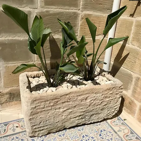 Semesterbostad Julia *